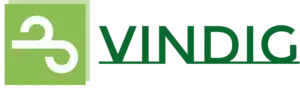 vindig high resolution logo transparent 1