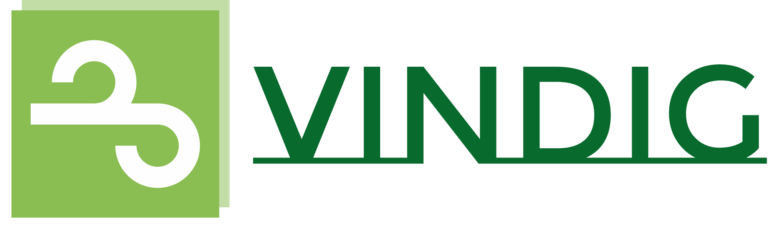 vindig high resolution logo transparent 1