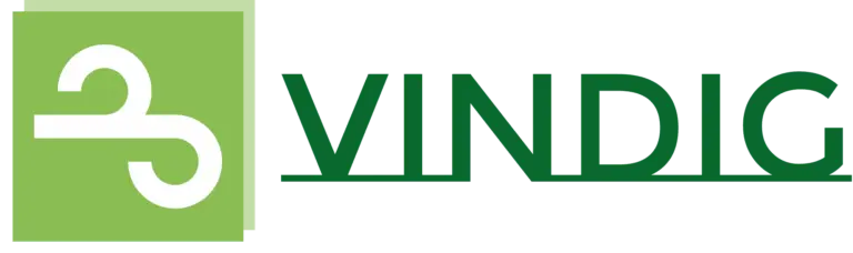 vindig high resolution logo transparent 1