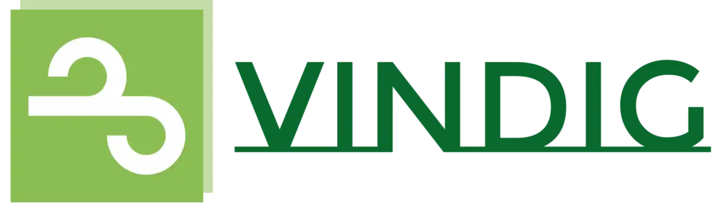 vindig high resolution logo transparent